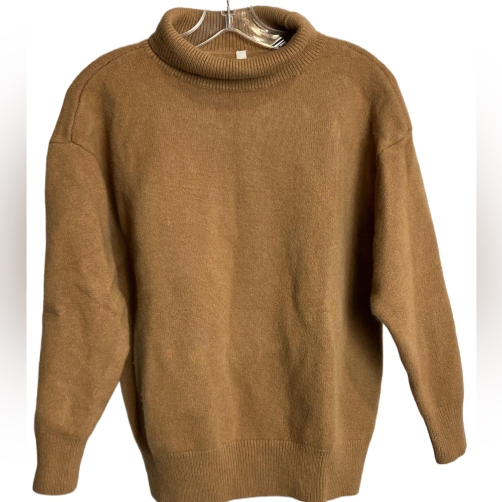 Aritzia Babaon Wool Turtleneck